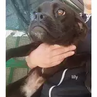 Comune di Salerno - 380260044670547