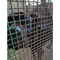 Foto dell\'animale Comune di Salerno - 380260101756674