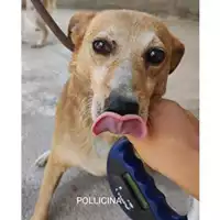 Comune di Salerno - 380260004056310