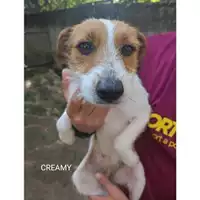 Comune di Salerno - 380260044581043