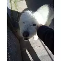 Comune di Salerno - 380260006037686
