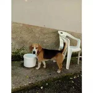 Comune di Salerno - 900032000471659