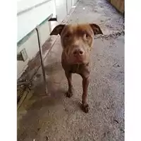 Comune di Salerno - 380260004056321