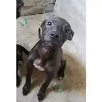 Comune di Salerno - 380260004058130