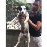 Comune di Salerno - 380260043968142