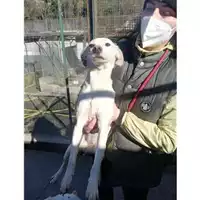 Comune di Salerno - 380260043977813