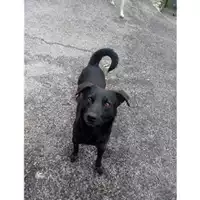 Comune di Salerno - 380260042459072