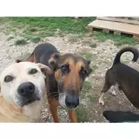 Comune di Salerno - 941000001820262