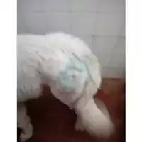 Comune di Salerno - 380260042377970