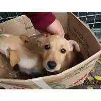 Comune di Salerno - 380260004056286