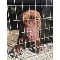 Comune di Salerno - 380260004056321