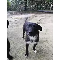 Comune di Salerno - 380260042783616