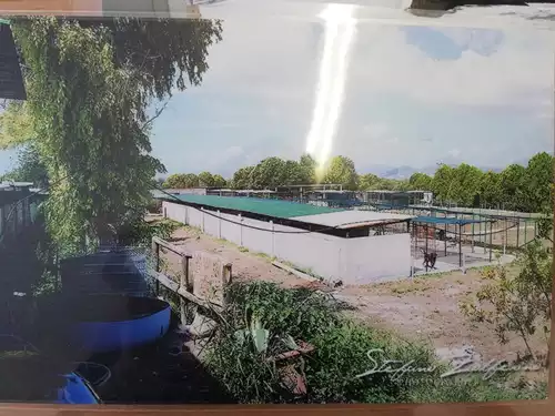 Foto del punto vendita Canile Monte di Eboli